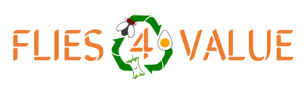 Logo Flies 4 Values